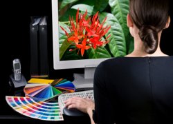 Digital Wedding Photography 101