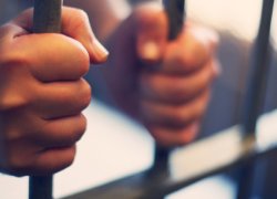 Litigation Support and Electronic Discovery (E-Discovery) for Legal Professionals