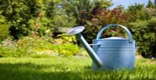 Landscaping 101
