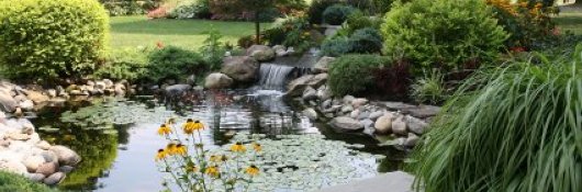 Gardening Picture