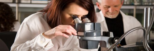 Biological and Physical Sciences Picture