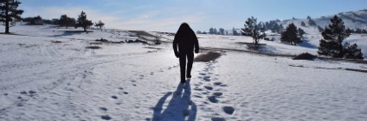 Paranormal Studies Picture