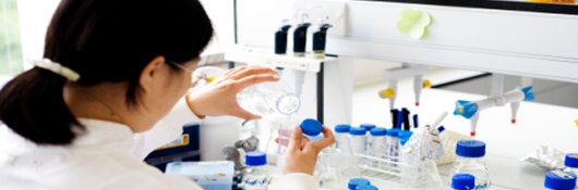 Biological and Physical Sciences Picture