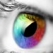 Photoshop Elements 101